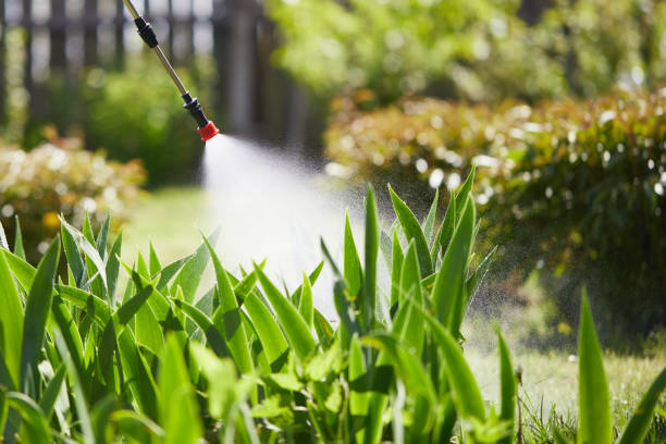 24/7 Emergency Wasp Removal experts in Dover, TN